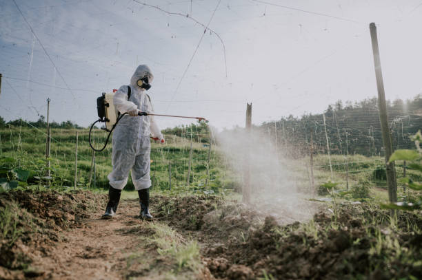 Pest Control Cost in Snead, AL