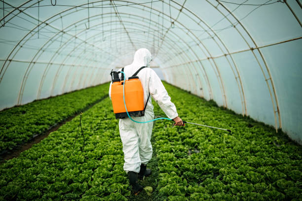 Best Mosquito Control Services  in Snead, AL