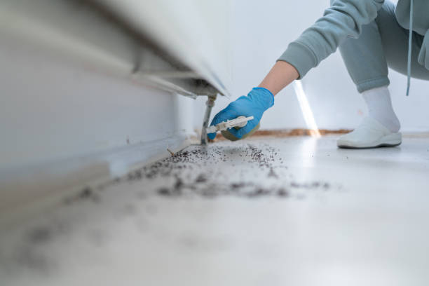 Best Best Pest Control Companies  in Snead, AL